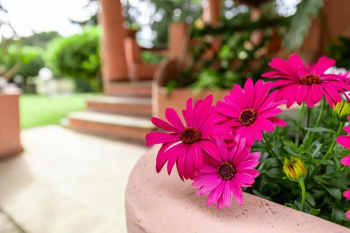 Villa Privata Sulla Spiaggia - 800 Mq Di Giardino Torre delle Stelle Italien